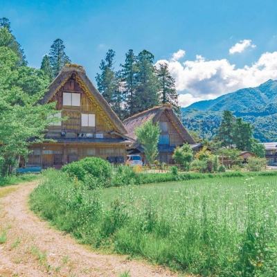 BOB体育最新版本下载