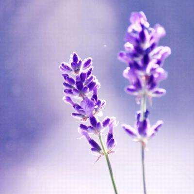 ag娱乐平台游戏中心